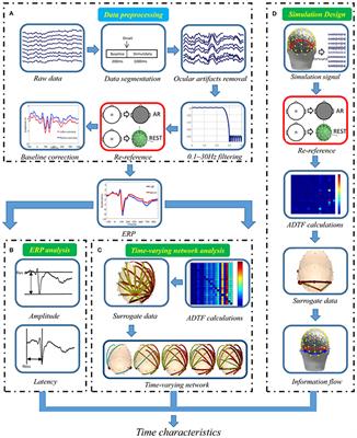 The Scalp Time-Varying Networks of N170: Reference, Latency, and Information Flow